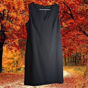 Signature by Larry Levine 10 sleeveless shift lined black dress. Fall/Winter